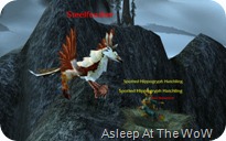 Steelfeather_041809_170408